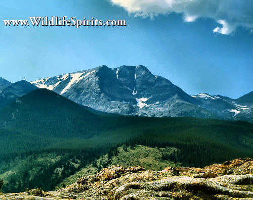 Click Picture to send as an  E-PostCard 50k 500x396